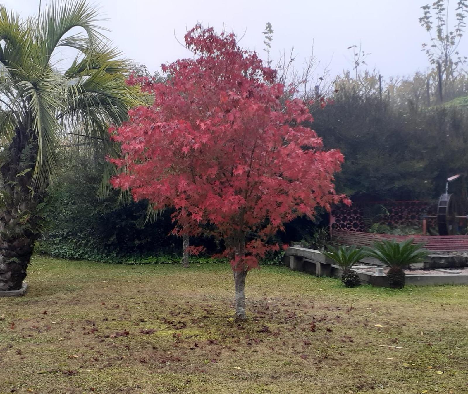 Cappio Pousada E Lazer Bento Gonçalves Buitenkant foto